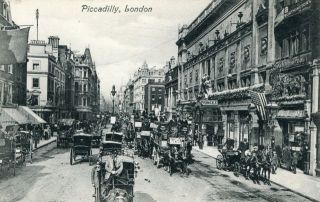 image of article no. P 11