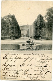 image of article no. P 12055