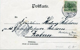 image of the back side of article no. P 12099