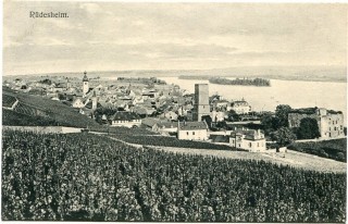 Abbildung von Artikel Nr. P 12161