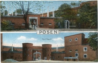 Abbildung von Artikel Nr. P 12169