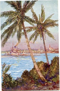 image of article no. P 12192