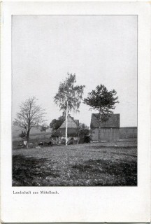 Abbildung von Artikel Nr. P 12335