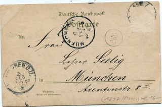 image of the back side of article no. P 12451