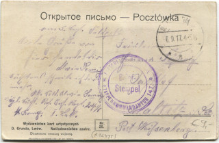 Abbildung der R&uuml;ckseite von Artikel Nr. P 12495