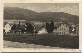 image of article no. P 12525