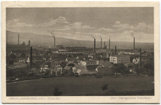 Abbildung von Artikel Nr. P 12529