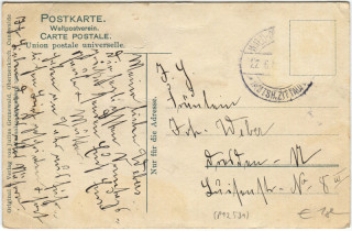 image of the back side of article no. P 12531