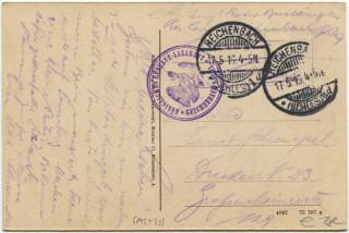 Abbildung der R&uuml;ckseite von Artikel Nr. P 12533