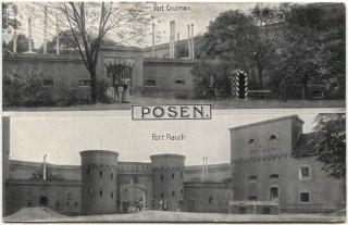 Abbildung von Artikel Nr. P 12559