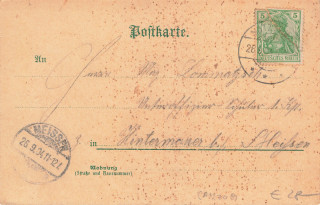 image of the back side of article no. P 12709