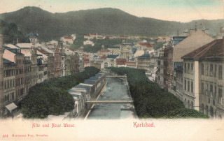 Abbildung von Artikel Nr. P 12790