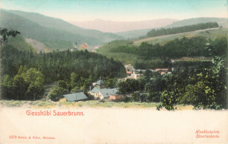 Abbildung von Artikel Nr. P 12812