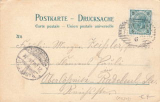 image of the back side of article no. P 12813