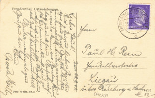 image of the back side of article no. P 12838