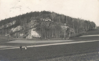 image of article no. P 12856