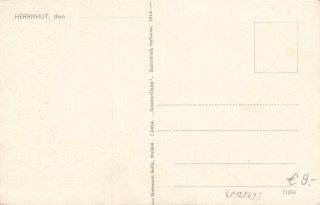 image of the back side of article no. P 12869