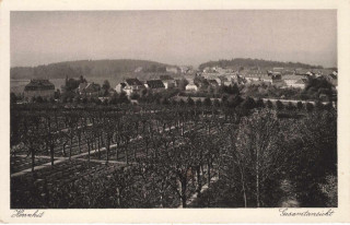 image of article no. P 12870