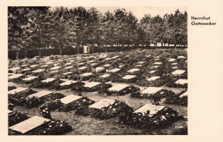 Abbildung von Artikel Nr. P 12884