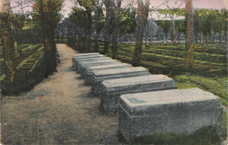 Abbildung von Artikel Nr. P 12885