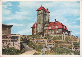 Abbildung von Artikel Nr. P 12905