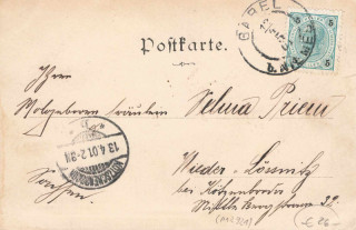 image of the back side of article no. P 12921