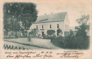 image of article no. P 12921