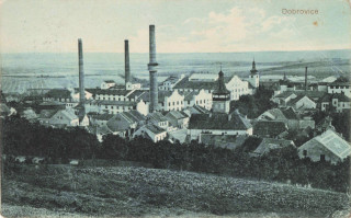 image of article no. P 12962
