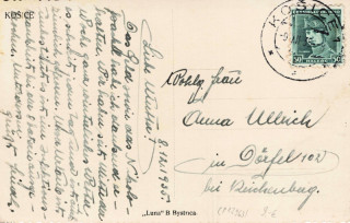 image of the back side of article no. P 12963