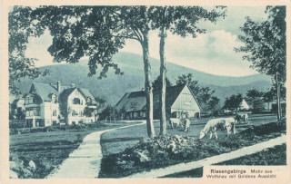 image of article no. P 12995