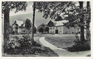 image of article no. P 12996