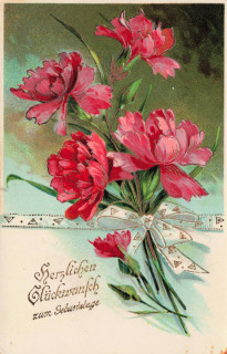 Abbildung von Artikel Nr. P 13036