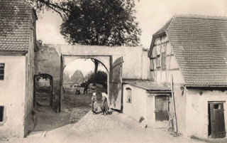 Abbildung von Artikel Nr. P 13078