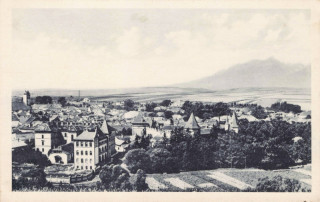 Abbildung von Artikel Nr. P 13110