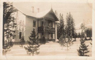 image of article no. P 13162