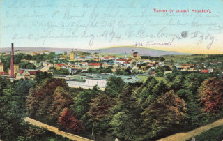 Abbildung von Artikel Nr. P 13166