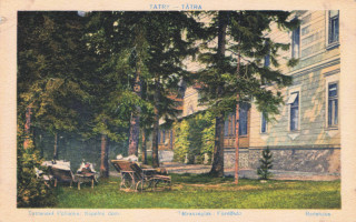 image of article no. P 13167