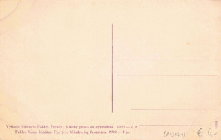 image of the back side of article no. P 13171