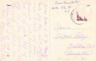 image of the back side of article no. P 13194