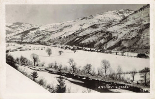 image of article no. P 13227