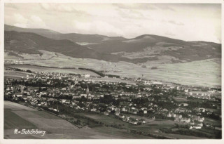 image of article no. P 13275