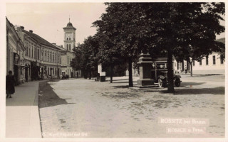 image of article no. P 13278