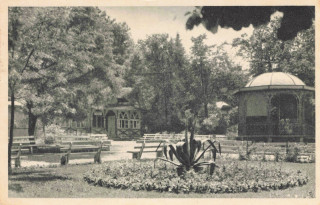 image of article no. P 13305