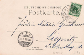 image of the back side of article no. P 13322