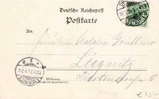 Abbildung der Rückseite von Artikel Nr. P 13347