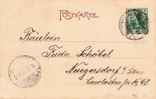 image of the back side of article no. P 13359