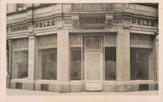 Abbildung von Artikel Nr. P 13375