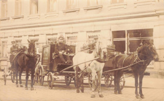 Abbildung von Artikel Nr. P 13377