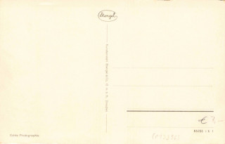 image of the back side of article no. P 13396