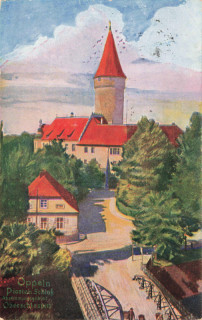 image of article no. P 13423